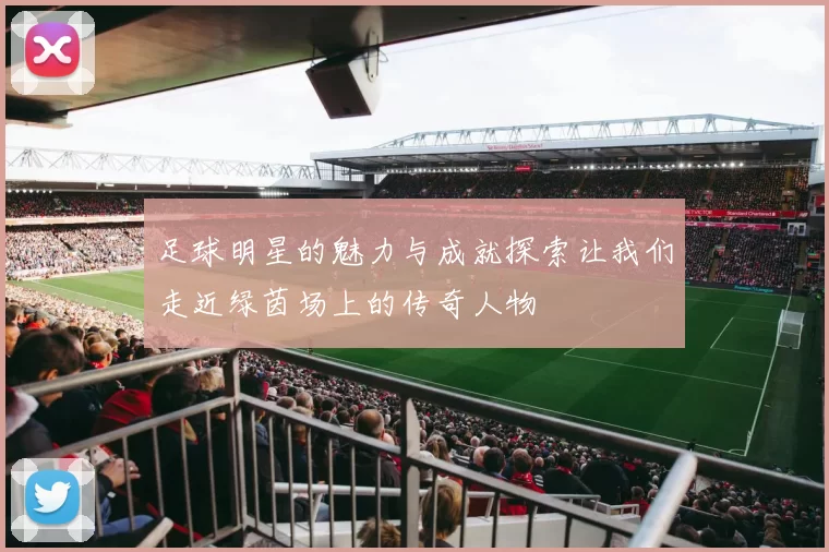 足球明星的魅力与成就探索让我们走近绿茵场上的传奇人物